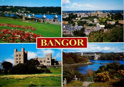 Postcard Bangor Pier Castle Penryn Menai Strait Cathedral Uni Gwynedd Wales RPPC • £18.71