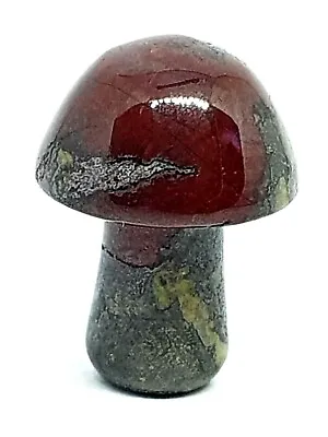 £3.29 • Buy Mushroom Blood Stone Gemstone Crystal Carved Polished Mini Carving Gem Gift X 1