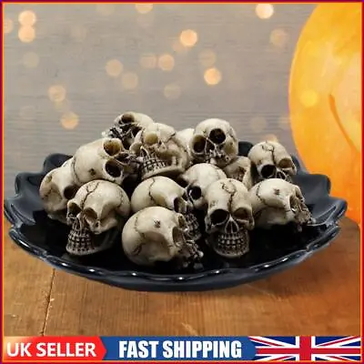 20Pcs Mini Skull Heads Fun Halloween Small Skeleton Model Flower Pot Decoration • £7.19