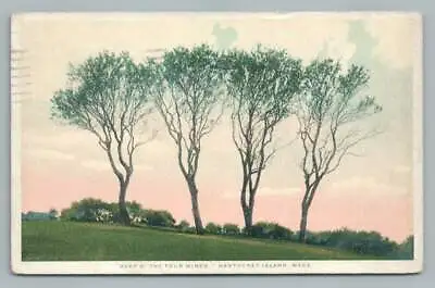 Harp Of The Four Winds NANTUCKET Antique Trees Postcard H Marshall Gardiner 1927 • $11.69