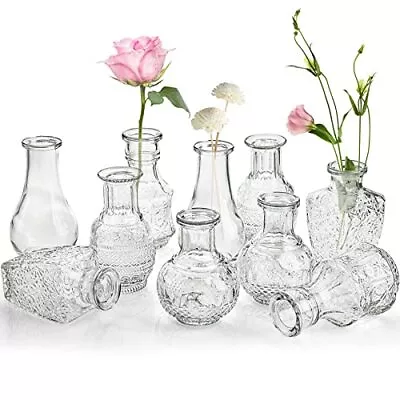 10-Pack Clear Glass Bud Vases Small Flower Vase For Centerpiece Tiny Vases Fo... • $35.29