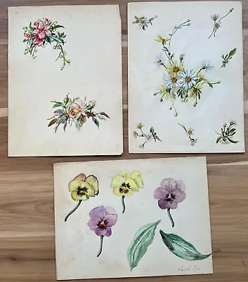 3 Antique Original Gouache Watercolor Paintings Botanical Study 1901 Signed LotF • $72