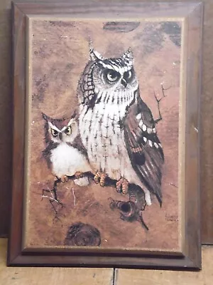 Vintage Wood Wooden Screech Owl Painting Wall Plaque 21x15 • $40