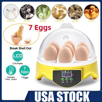 7 Eggs Incubator Mini Egg Poultry Hatcher W/Temperature Control For Chicken Duck • $26.81