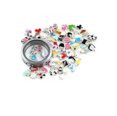 5pcs Best Quality Floating Charms For Memory Locket Necklace Pendant Keyring • £4.49