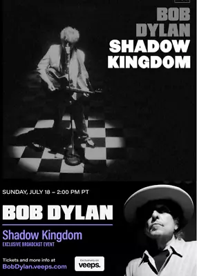BOB DYLAN DVD  Shhhhh Kingdom  (Limited Edition) RARE FILM On DVD! • £19.99