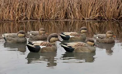 Avian-X 8085 Top Flight Gadwall Decoys- 6 Pack • $109.99