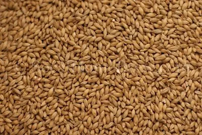 Maris Otter Malt 10 Lbs For Home Brew Beer Making • $26.25