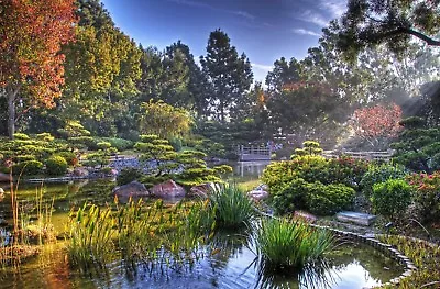 £7.95 • Buy Japanese Landscape Garden Zen Canvas Picture Poster Print Wall Art Unframed