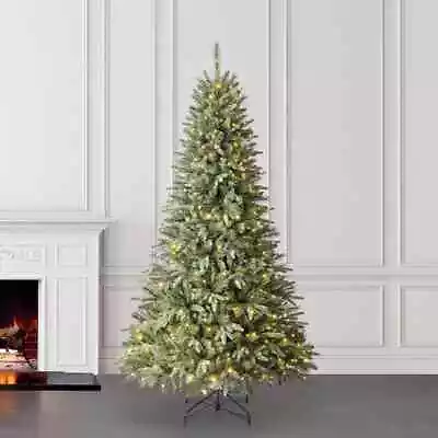 Holiday Living 7.5-ft Brighton Spruce Pre-lit  Artificial Christmas Tree • $249