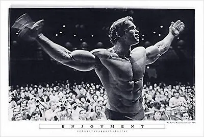 Arnold Schwarzenegger Mr Olympia POSTER • £8.19