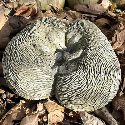 Stone Cuddling Hedgehogs Sculpture Lying Woodland Wildlife Animal Garden Decor • £35