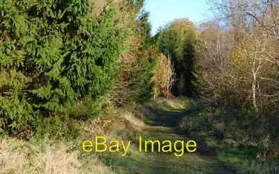 Photo 6x4 Randalstown Forest (3) Randalstown/J0990 See [[618341]].  The  C2007 • £2
