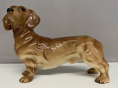 Dachshund Dog Figure Glazed Porcelain 8 In Long 5 1/2 In Tall. Made In England • £19