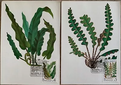 £8.17 • Buy Russia USSR 1987, Sc# 5572-5576 Flowering Ferns Maximum Cards