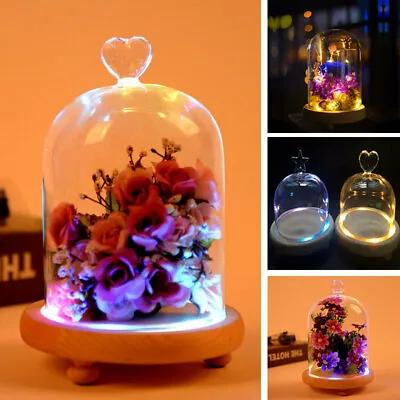 £7.95 • Buy Large Glass Dome Display Bell Jar Cloche On Wooden Base Table Decor U Shape NEW