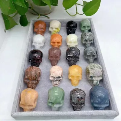 5p c Natural Quartz Crystal Skull Carved Reiki Healing Random • $2.25