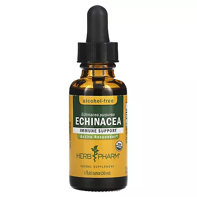 Echinacea Alcohol-Free 1 Fl Oz (30 Ml) • $15.68