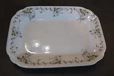 Antique T.R. BOOTE SCHONBRUNN WATERLOO POTTERIES England 10 INCH PLATTER • $14.99