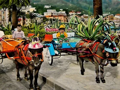Vintage Postcard RAPALLO ITALY RPPC Children On Promenade In Donkey CartsVW • $8