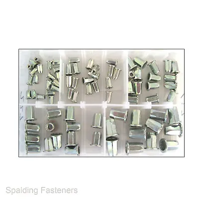 Assorted Hexagon Nutsert Rivet Nuts Riv Nuts  M4 M5 M6 M8 M10 Zinc Plated • £18.54