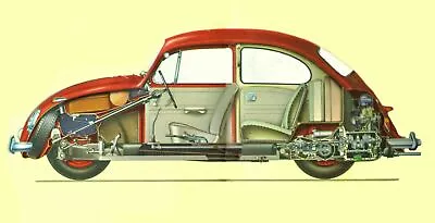 1966 VW Beetle Cross Section - Poster 20x30 • $19.99