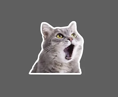 Surprised Cat Sticker Meme Waterproof NEW - Buy Any 4 For $1.75 EACH Storewide! • $2.95