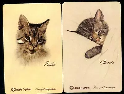 Beautiful Cats  Chessie And Peake Swap Card Pair New Condition • $3.50