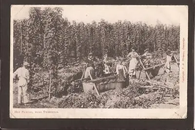 KENT-RURAL INDUSTRY-HOP PICKING Near TONBRIDGE. • £4.99