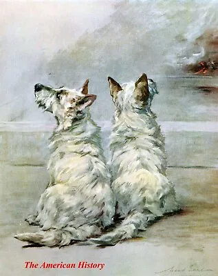 3457 Earl Maud (1864-1943) - 1910 Power Of The Dog - West Highland White Terrier • $7.43