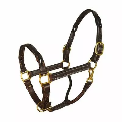 Perri's Twisted Leather Halter • $109.95