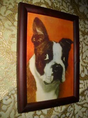 WIDE EYED BOSTON TERRIER 4 X 6 Brown WOOD Framed Picture Victorian Style Print • $14.99