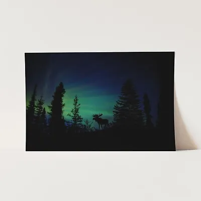 Northern Lights Aurora Borealis Moose In Forest Wall Art Poster Print • $29