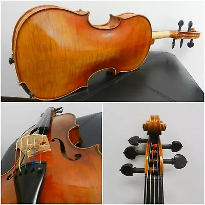 Master Level Violin -5 String Acoustic Violin 4/4 Size New • $4850