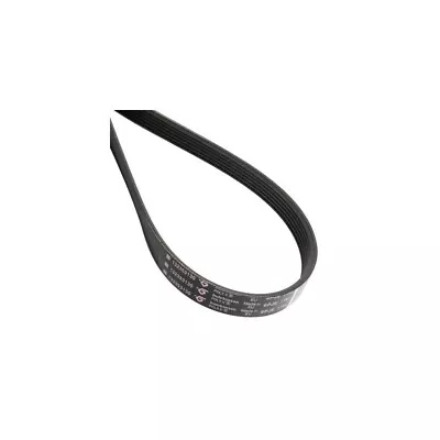 Zanussi  Washing Machine Drive Belt 1184J6 BELT Genuine  1323531309 • £16.95