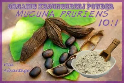  L-DOPA 100% PURE Levodopa Mucuna Pruriens Powder USP NonGMO USA 10:1  • $35.99