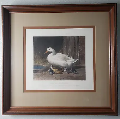 Duck And Ducklings J.F. Herring Fores's Series Mother Hand Painted Engraving • £360.10