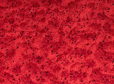 1/2 Yd Watermelon Tiny Black Seeds On Red Fabric By Debbie Mumm SSI BTHY Vintage • $4.65