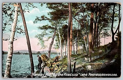 Norway Maine - Lake Pennesseewassee By The Roadside - Vintage Postcard - Posted • $12.74