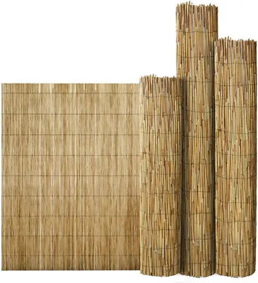 Natural Reed Fence Natural Bamboo Garden Peeled Reed Fence Privacy Border Roll • £18.99