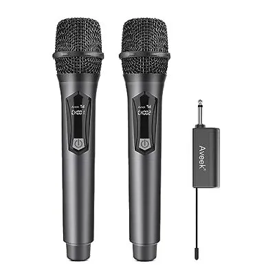 Wireless Microphones For Karaoke Handheld Dynamic Dual Microphone System With Re • $55.52