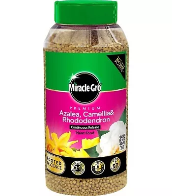 Miracle-Gro Azalea Plant Feed Camellia Rhododendron Continuous Plant Food 900g • £8.99