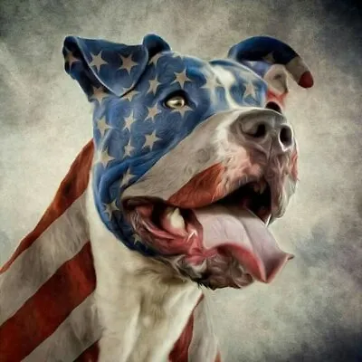Pitbull # 5 - T Shirt Iron On Transfer - USA - Dog • $4