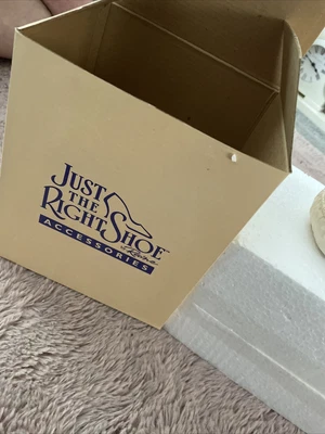 £9.99 • Buy Just The Right Shoe Raine Devoted To You Younger Than Springtime 1999 Boxed S413