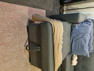 $300 • Buy Sydney Home Furnishings Ikea Style Sofa Bed - Used, Like New