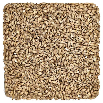 Home Brew Ohio 2-Row Grain 5lb • $20.97