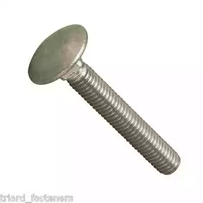 M5 X 25 Cup Square Carriage / Coach Bolts Stainless DIN 603 - 10 PACK  • £4.40