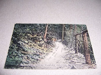 1910 Lovers Lane Turkey Hollow Millbrook Ny. Antique Postcard • $4.99