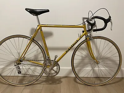 Pinarello Treviso - Vintage Full Restoration Campagnolo Gran Sport • $1383.73