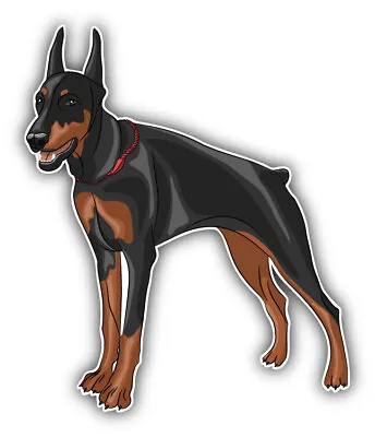 £2.67 • Buy Doberman Pinscher Breed Dog Car Bumper Sticker Decal